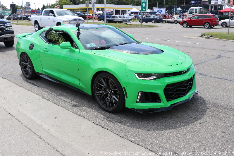 IMG_5360-Frank & Camaro.jpg
